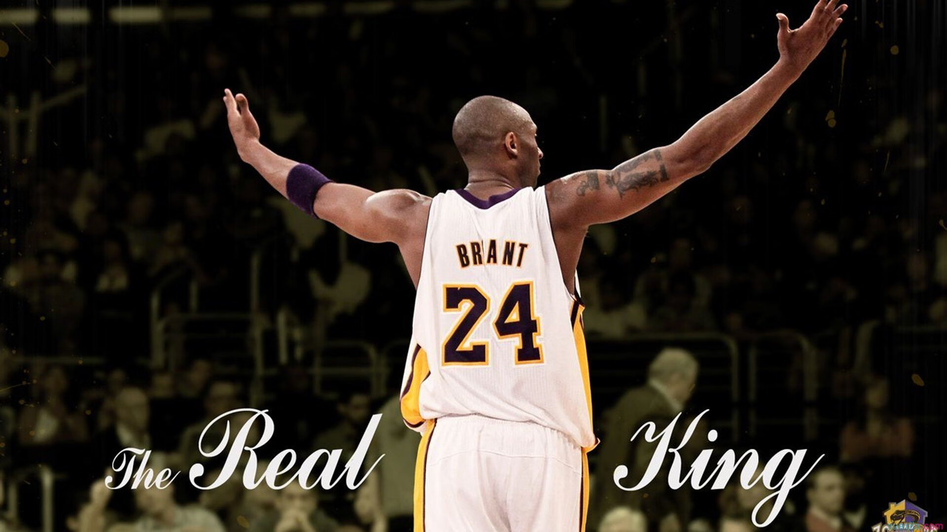 从迈阿密到世界舞台，热火的晋级哲学如何预示字母哥的2026世界杯统治